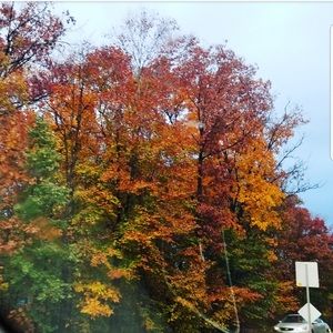 Meet your Posher, Alisha